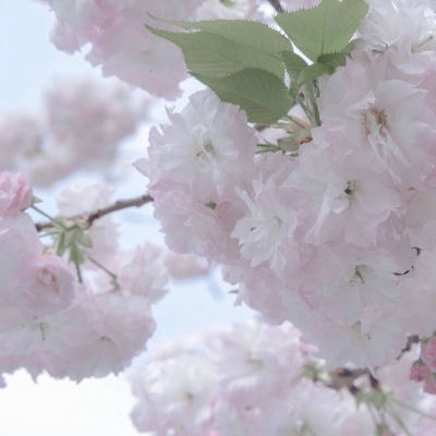 南涧福瑞交流群